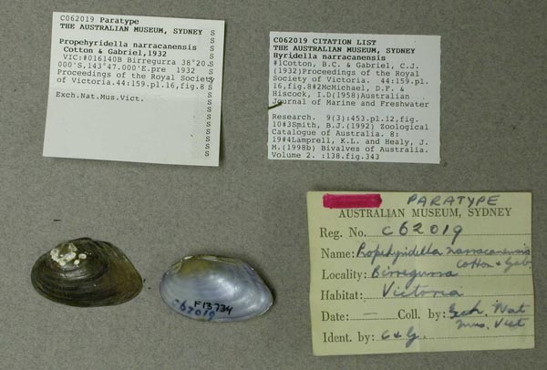 image of type lot
