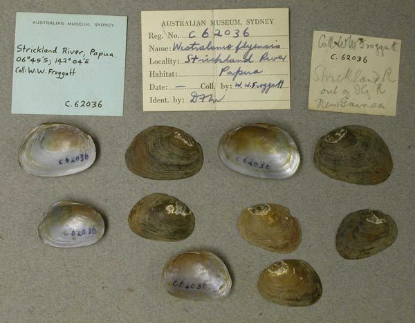 image of lot AMS_62036