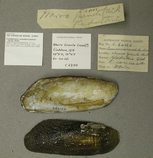 image of lot AMS_62152