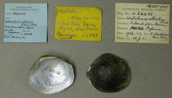 image of lot AMS_62268