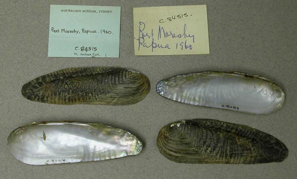 image of lot AMS_84515