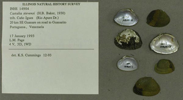 image of lot INHS_14904