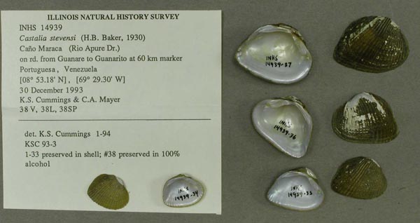 image of lot INHS_14939