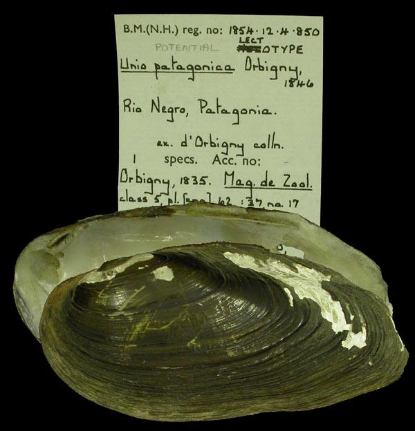 image of type lot image of type lot