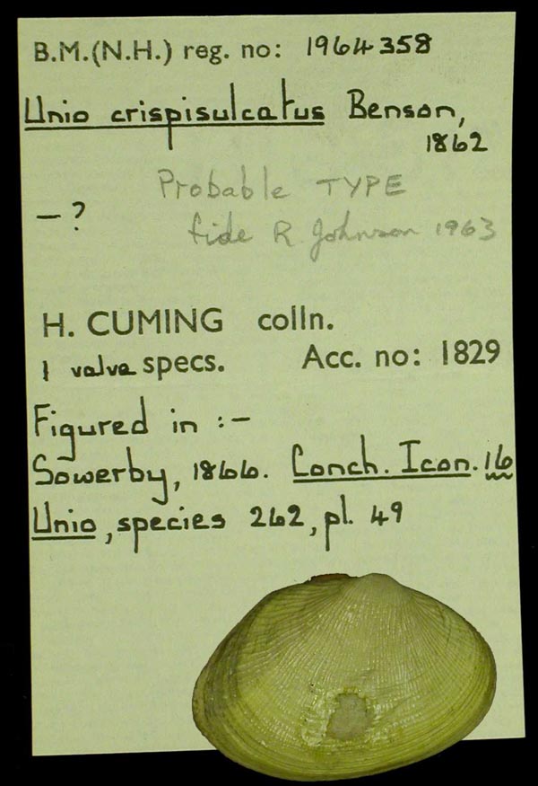 image of type lot image of type lot