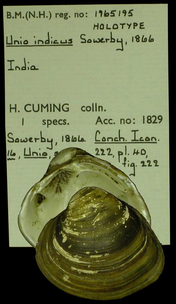 image of type lot image of type lot