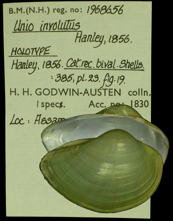 image of type lot image of type lot