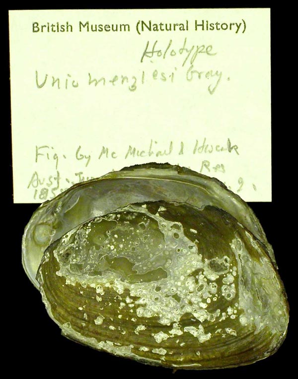 image of type lot image of type lot