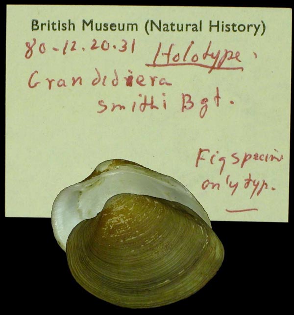 image of type lot image of type lot