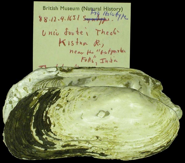 image of type lot image of type lot