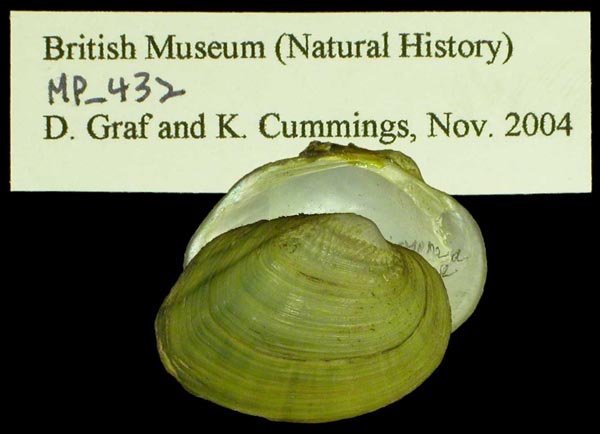 image of type lot image of type lot