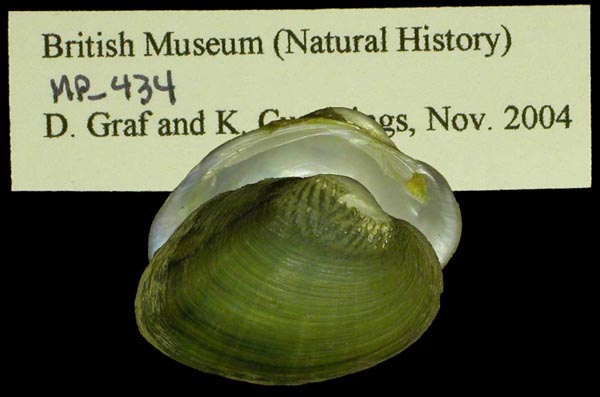 image of type lot image of type lot