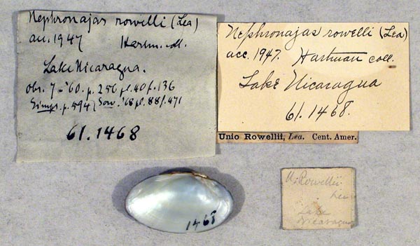 image of lot CM_61.1468