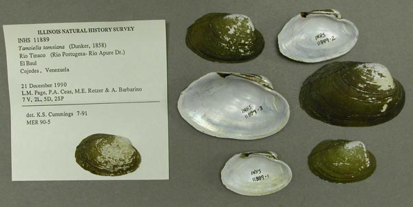 image of lot INHS_11889