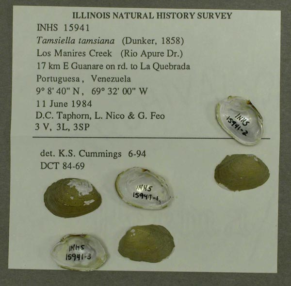 image of lot INHS_15941