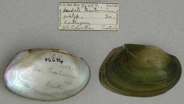 image of type lot image of type lot