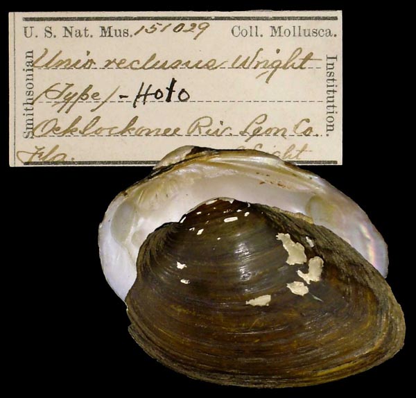 image of type lot image of type lot