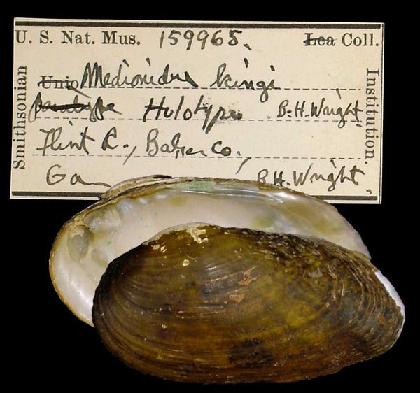 image of type lot image of type lot