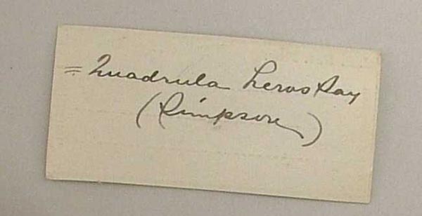 image of lot USNM_83991