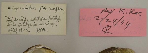 image of lot USNM_84419