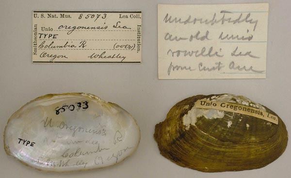 image of type lot image of type lot