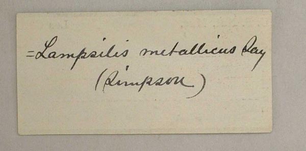 image of lot USNM_86121