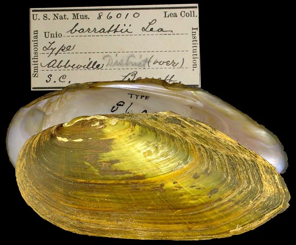 image of type lot image of type lot