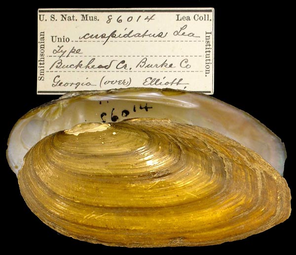 image of type lot image of type lot