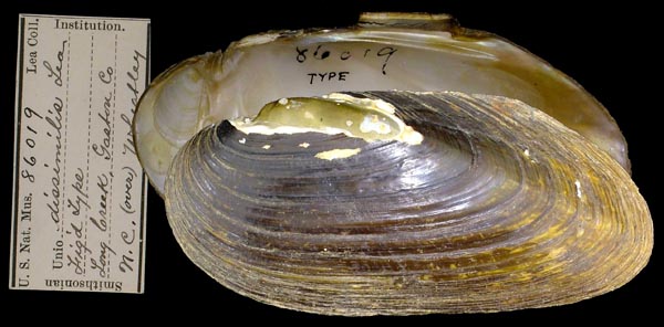 image of type lot image of type lot