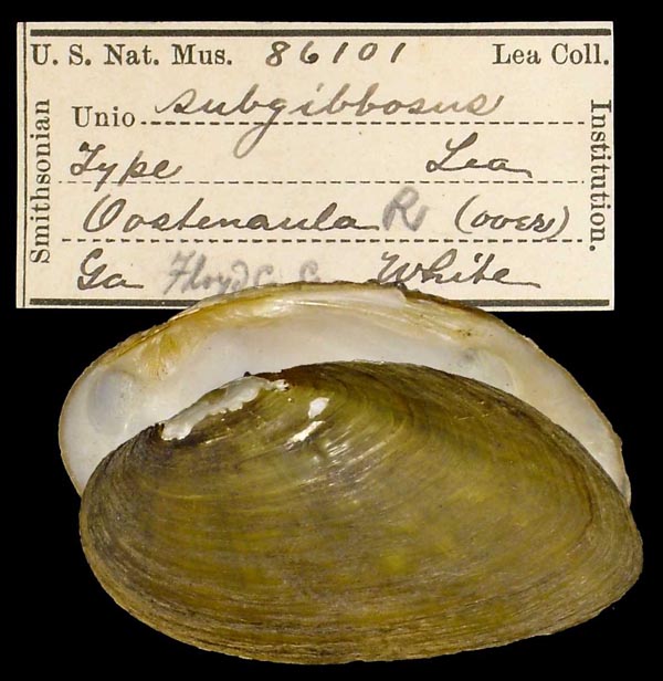 image of type lot image of type lot