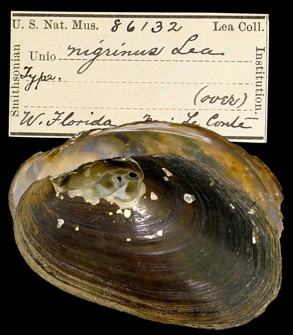 image of type lot image of type lot