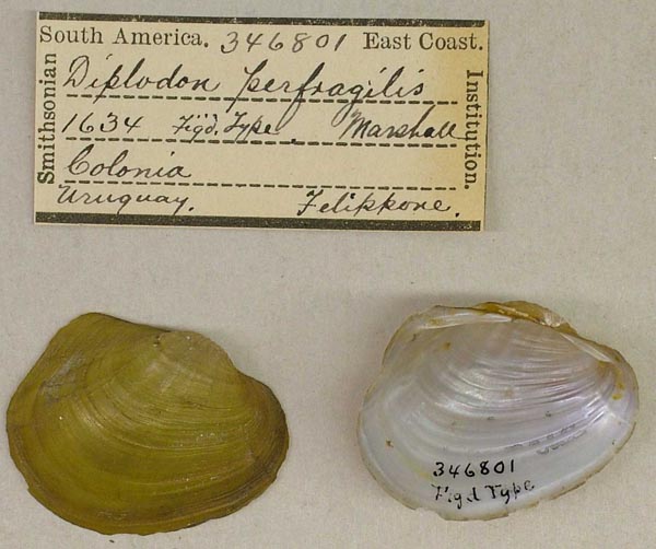 image of type lot image of type lot