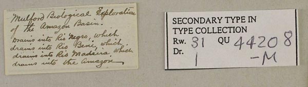 specimen