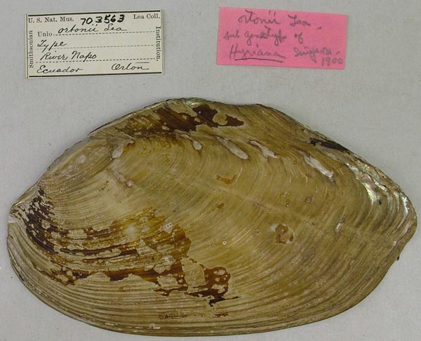 image of type lot image of type lot