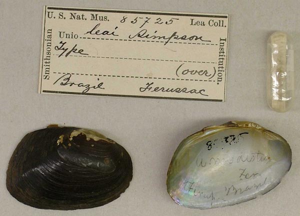 image of type lot