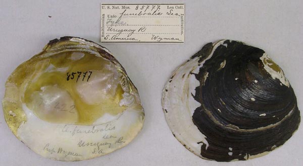 image of type lot