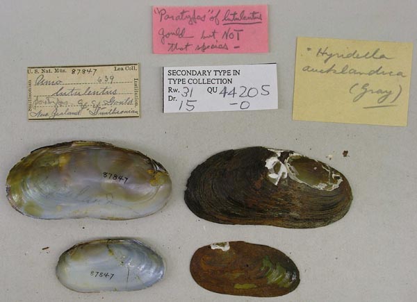 image of type lot image of type lot