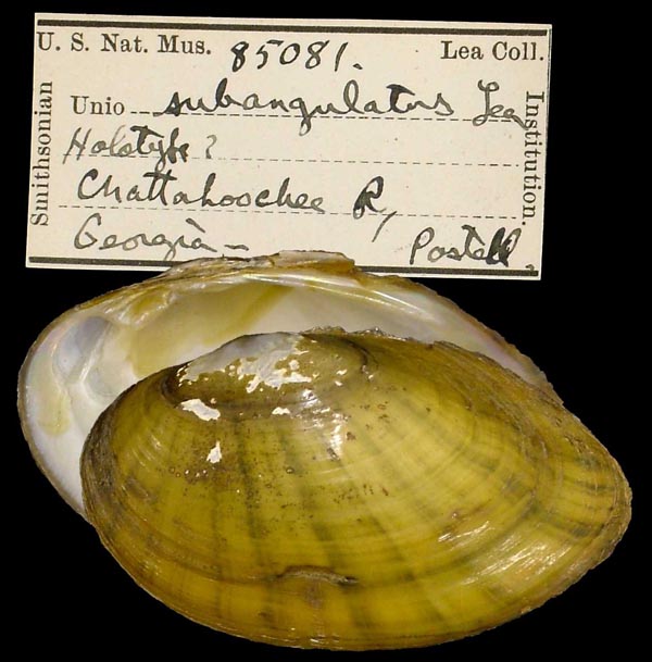 image of type lot image of type lot