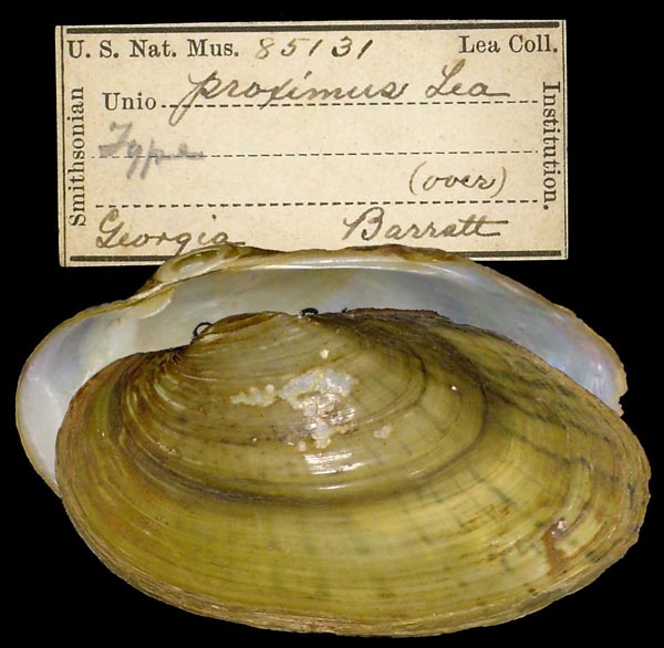 image of type lot image of type lot