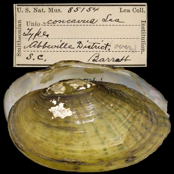 image of type lot image of type lot