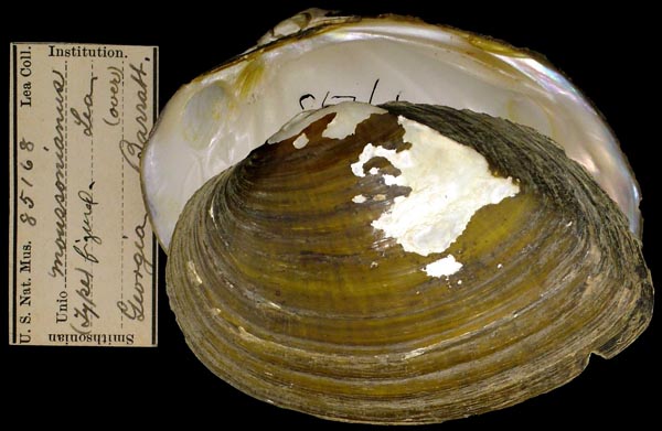 image of type lot image of type lot