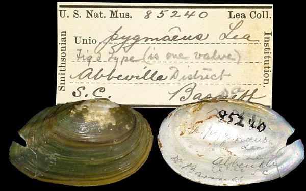 image of type lot image of type lot