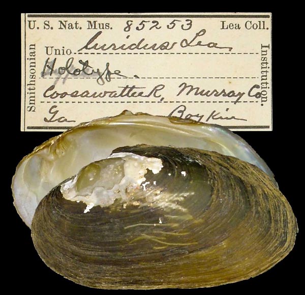 image of type lot image of type lot