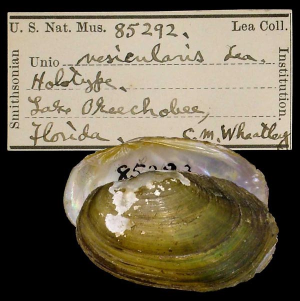 image of type lot image of type lot