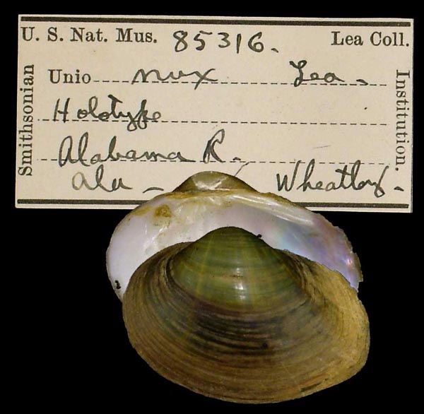 image of type lot image of type lot