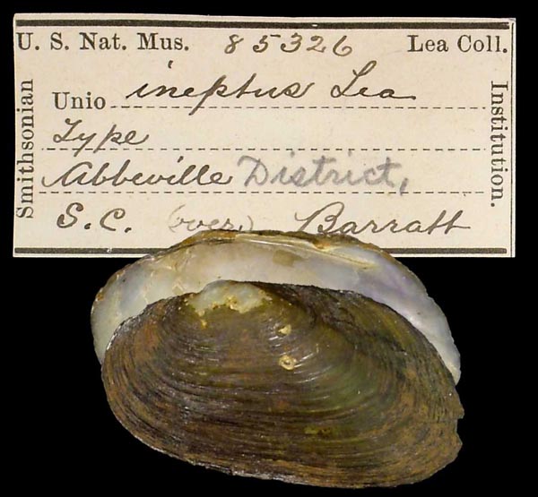 image of type lot image of type lot