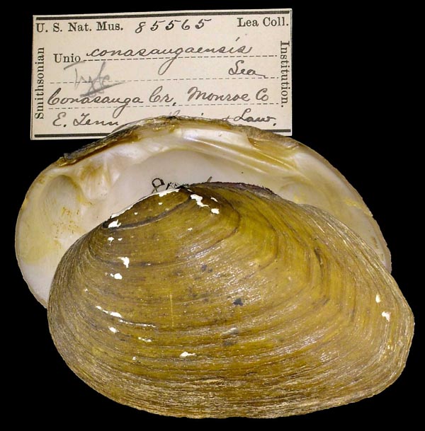 image of type lot image of type lot