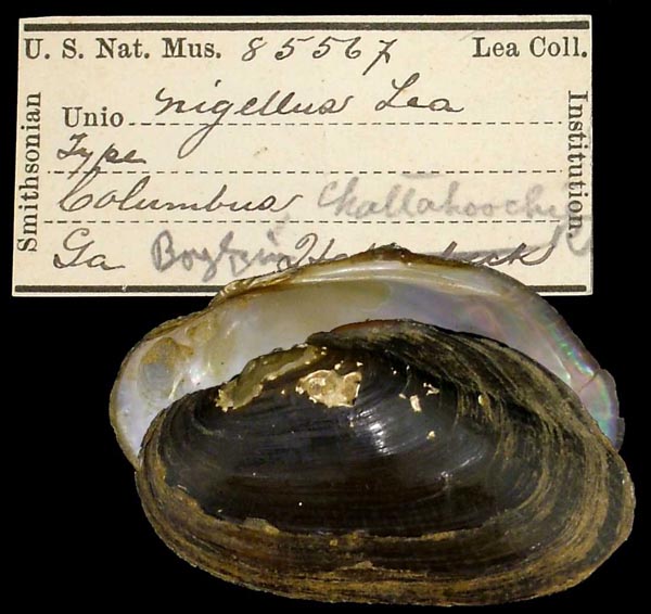 image of type lot image of type lot