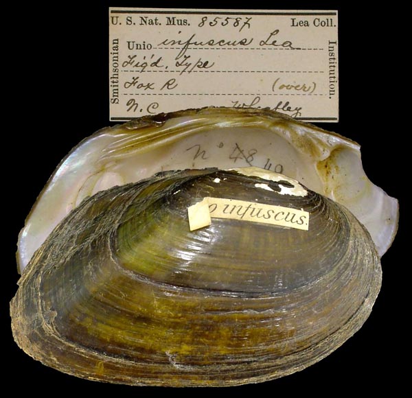 image of type lot image of type lot