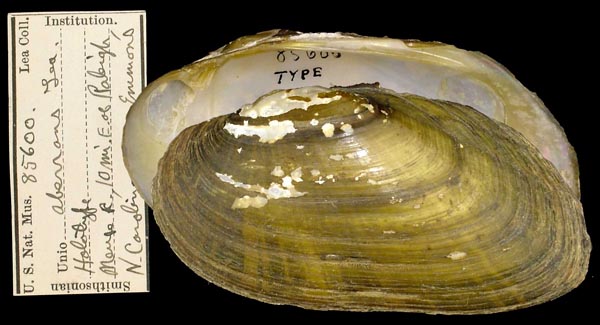 image of type lot image of type lot